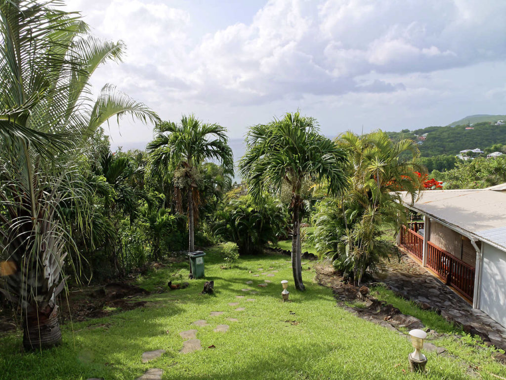 Jardin tropical autour du gîte